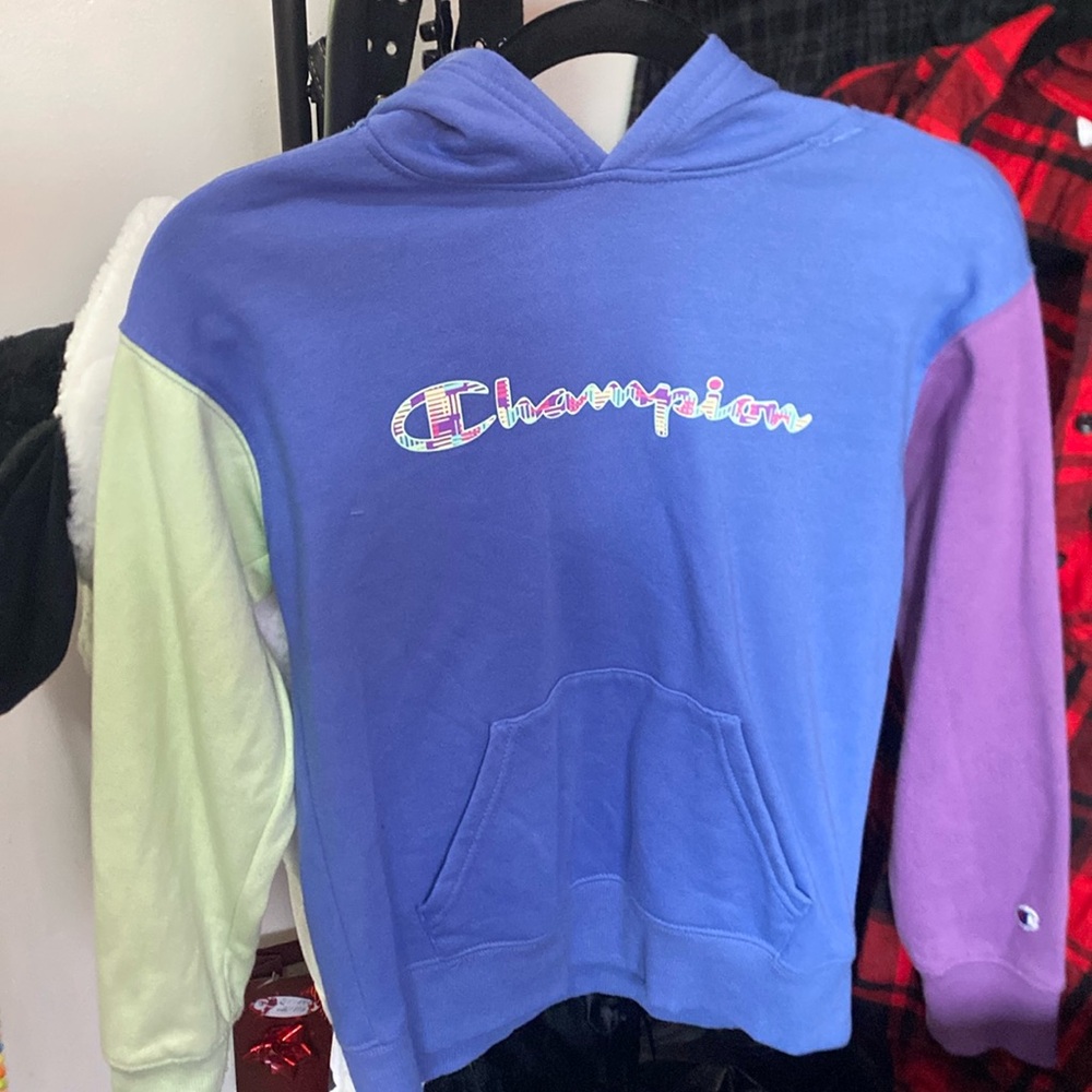 Champion fleece hoodie